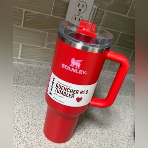 Valentines Day Stanley